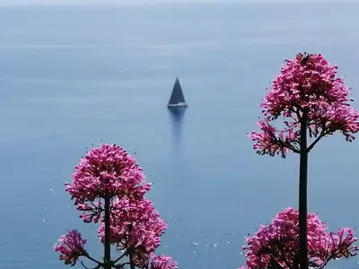 Paesaggio naturale nelle vicinanze dell'appartamento