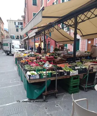 Planimetria di stella di mare