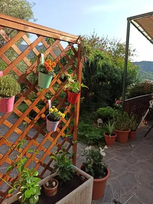 Giardino di Il Glicine cozy appartamnent, near Sestri Levante between Cinque terre e Portofino