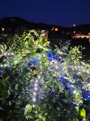 Giardino di Ca' de natta
