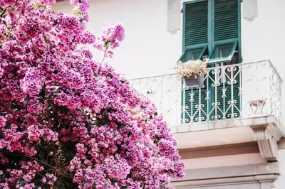 Balcone o terrazza di Casa elegante in mezzo al verde