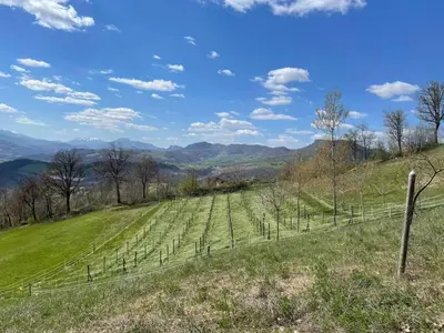 Paesaggio naturale nelle vicinanze della casa vacanze