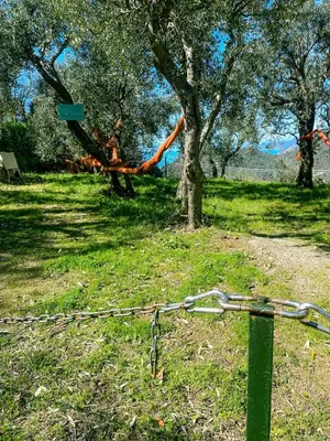 Paesaggio naturale nelle vicinanze dell'appartamento