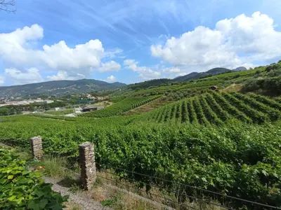 Paesaggio naturale nelle vicinanze dell'appartamento