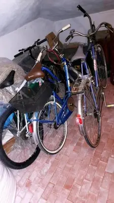 Attività di ciclismo presso l'appartamento o nelle vicinanze