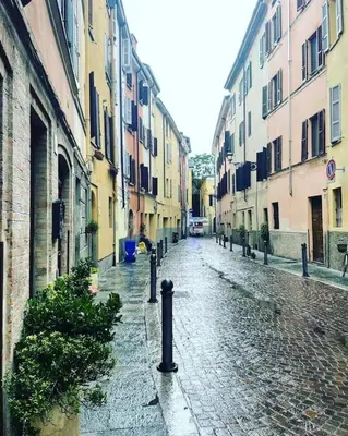 Il quartiere o una zona nella vicinanze dell'appartamento