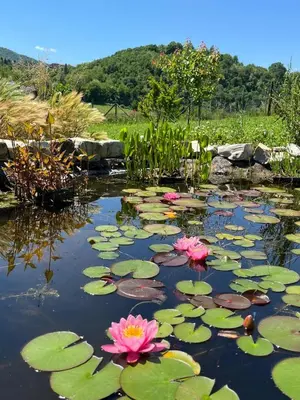 Paesaggio naturale nelle vicinanze del bed & breakfast