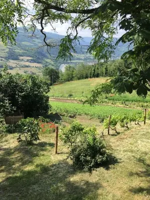 Paesaggio naturale nelle vicinanze della casa vacanze