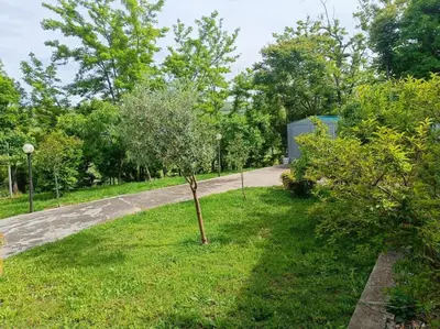 Giardino di [Oltrepo'] Dimora nei vigneti vicino a Ics Maugeri