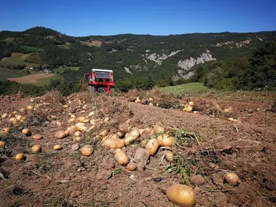 Paesaggio naturale nelle vicinanze dell'agriturismo