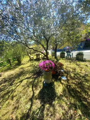 Giardino di Il sogno di Gaggiuin
