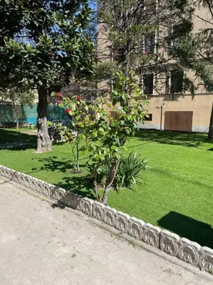 Giardino di Cucchiari Suite 2