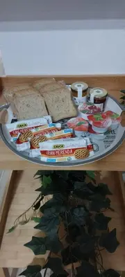 Planimetria di Appartamento Daisy - Parma