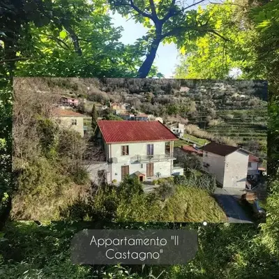 Appartamento Il Castagno
