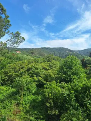 Paesaggio naturale nelle vicinanze dell'appartamento