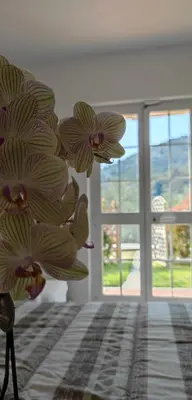 Planimetria di Rosi Room