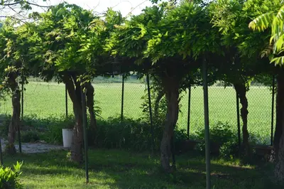 Giardino di Ca'Os Locanda&Grill