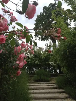 Giardino di Torre del Barbagianni - Castello di Gropparello
