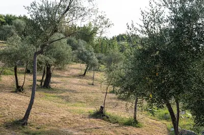 Paesaggio naturale nelle vicinanze dell'affittacamere