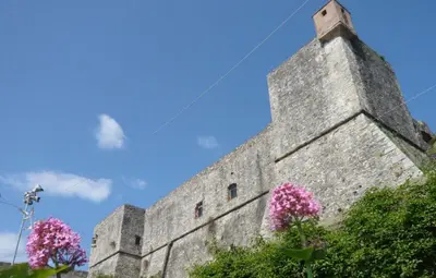 Planimetria di Rovaio
