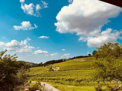 Paesaggio naturale nelle vicinanze dell'appartamento