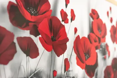 Planimetria di Flower apartment