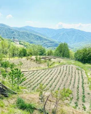 Paesaggio naturale nelle vicinanze dell'appartamento