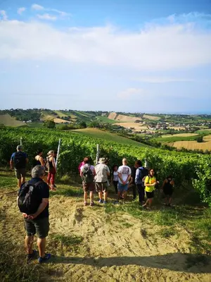 Ospiti di Cantina Visconti - Agriturismo
