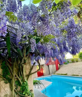 Piscina di Villa Caffetto Dépendance nei pressi del Lago di Garda o nelle vicinanze