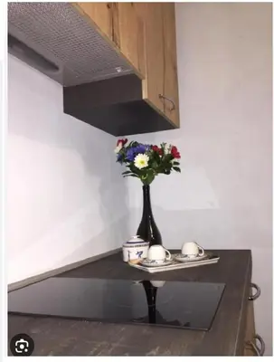 Cucina o angolo cottura di Mono DD CHECKIN A RICHIESTA