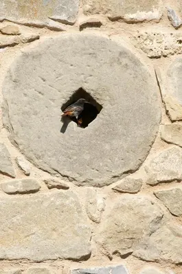 Planimetria di Corte della Maddalena