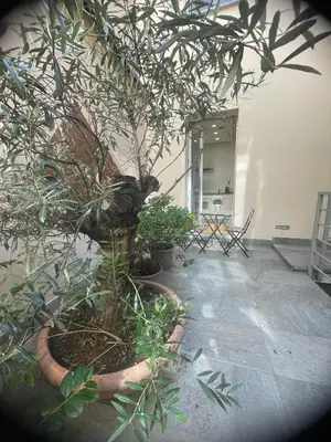Giardino di civico59