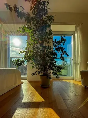 Area soggiorno di SUITE VOLVER - Exclusive Design Apartment
