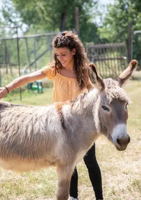 Altri animali domestici presso l'appartamento o nei dintorni