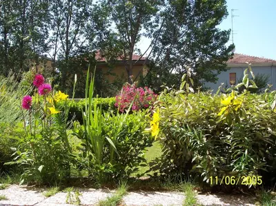 Giardino di B&B Il Parco
