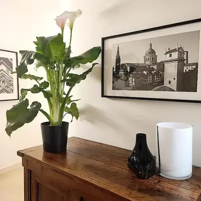 Foresteria Juvarra