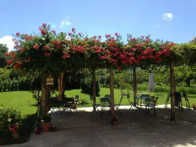 Giardino di Appartamento i Due Noci