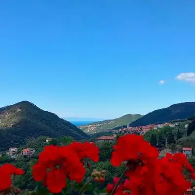 Camera tra le Cinque Terre