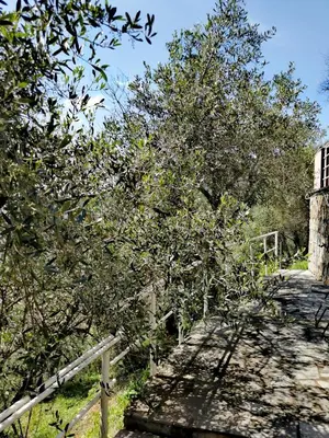 Paesaggio naturale nelle vicinanze della casa vacanze