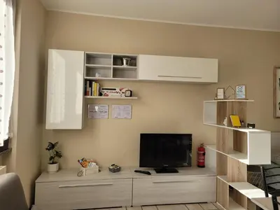 TV o dispositivi per l'intrattenimento presso Belgioioso Apartments - Monolocale