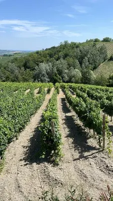 Paesaggio naturale nelle vicinanze della villa