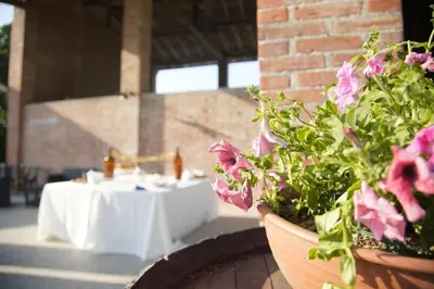 Giardino di Casa di Alba - Alloggi turistici
