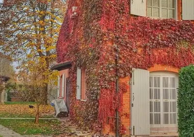 Giardino di Casa vacanza 