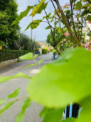 Giardino di The Samantha Guest House
