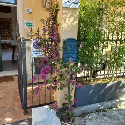 casa degli artisti 2