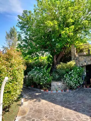 Giardino di B&B La Rasora