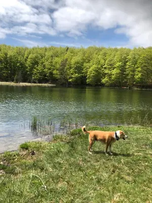 Vista sul fiume nelle vicinanze dell'appartamento