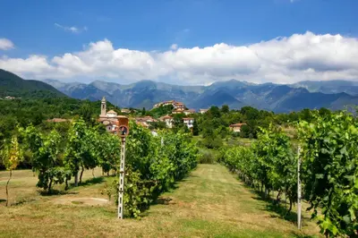 Paesaggio naturale nelle vicinanze della casa vacanze