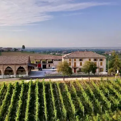 Casa Vacanze PetFriendly tra i Vigneti