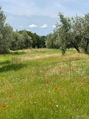 Paesaggio naturale nelle vicinanze dell'appartamento